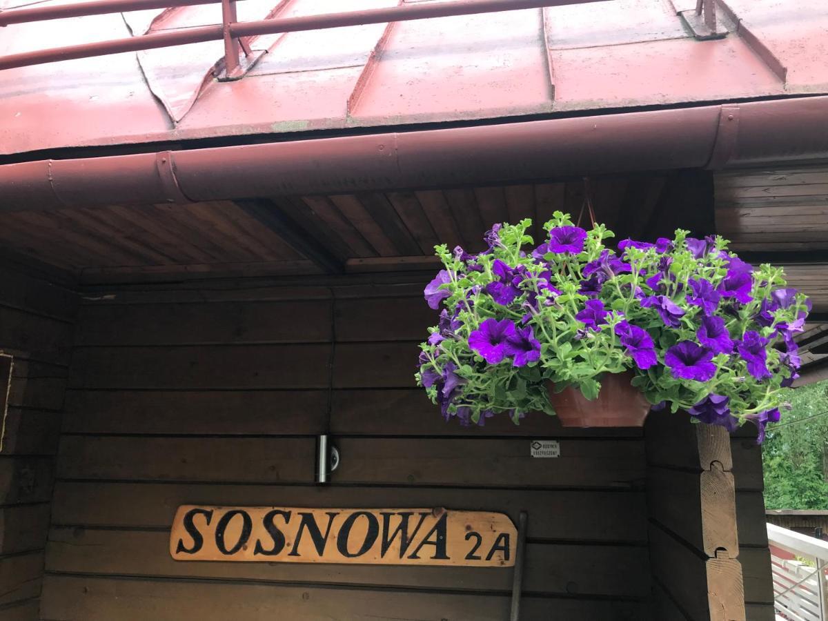 Sosnowy Zakatek *